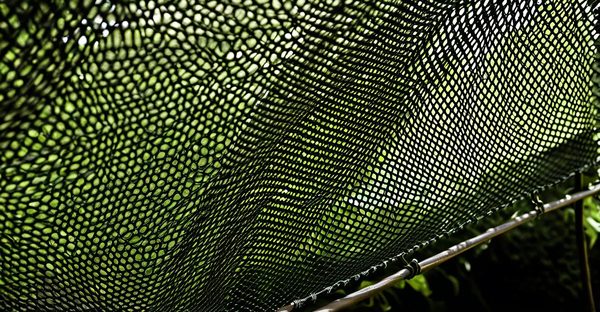 Moustiquaire enroulable sur mesure : style et praticité réunis